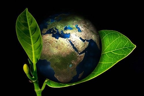 Top Canadian Cleantech Stocks | 5 Biggest Gainers - Vimarsana News