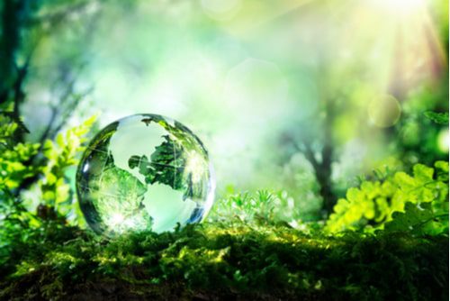Streaming Will Accelerate Growth in Carbon Credits Sector - Vimarsana News