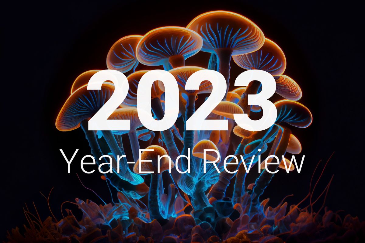 "2023 year-end review" text overlaid on image of psychedelic mushrooms.