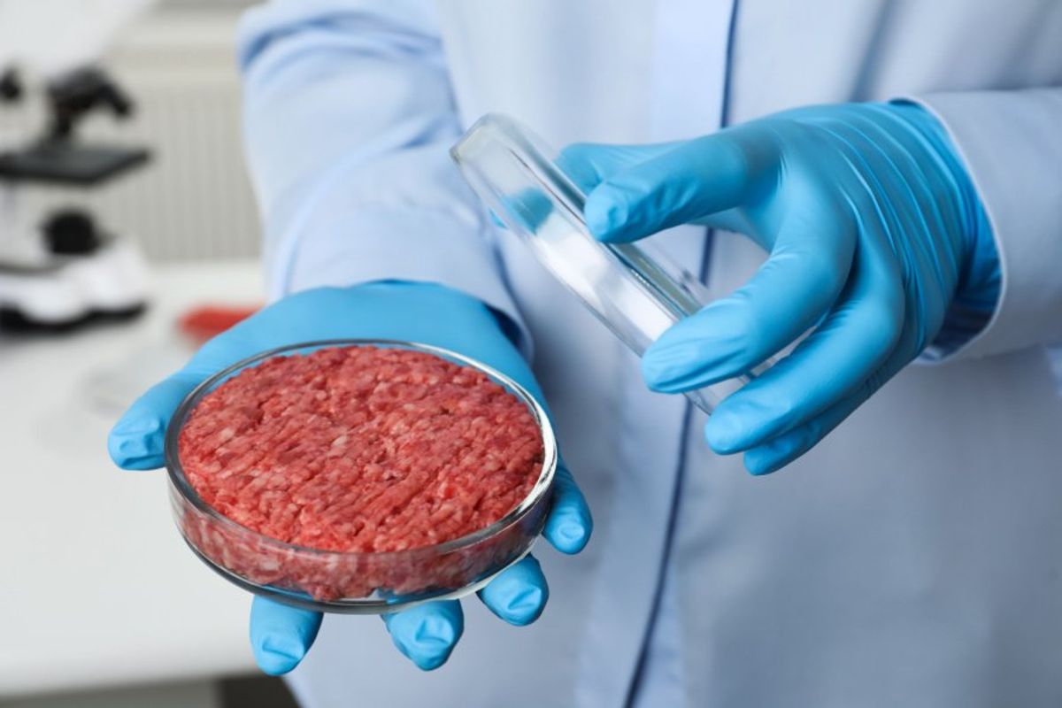 a scientist holding a petri dish with lab-grown ground beef