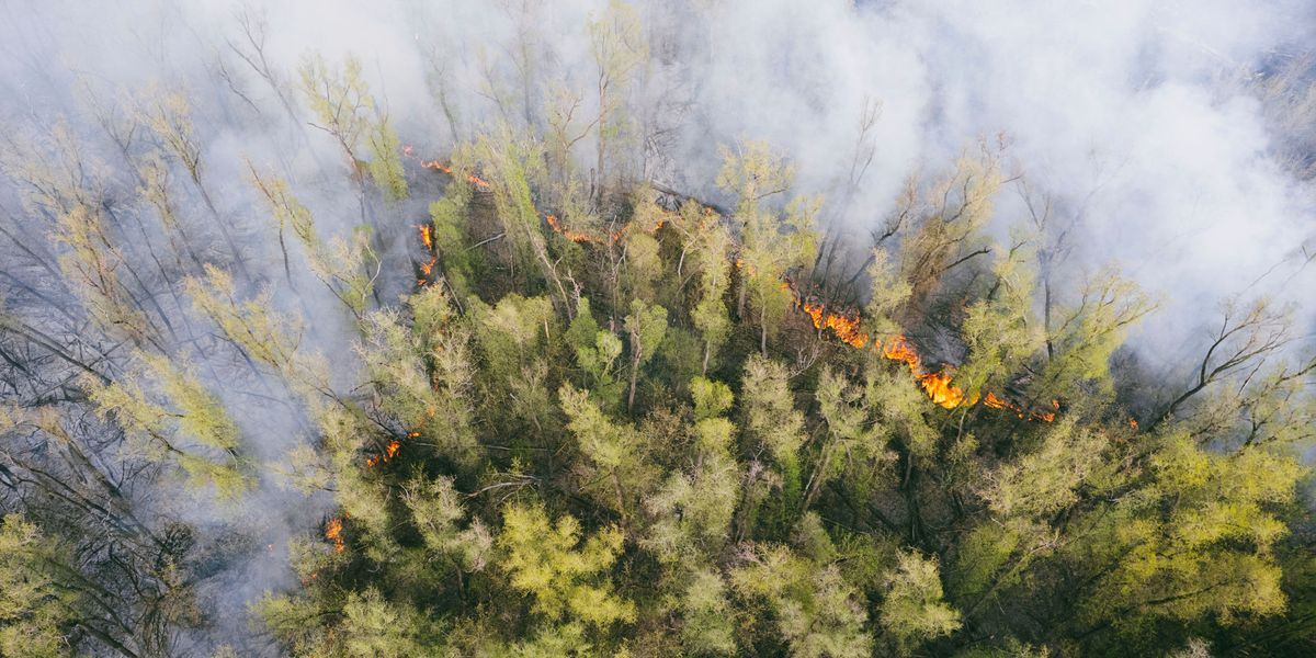 Canadian Wildfires Force Mining Sector to Retreat as Thousands Evacuate in Manitoba