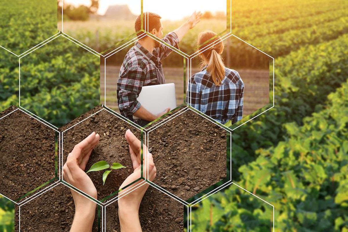 agricultural engineers working in field