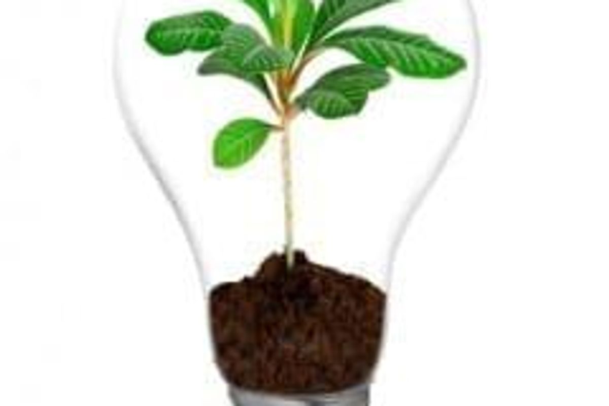 Agriculture Investing