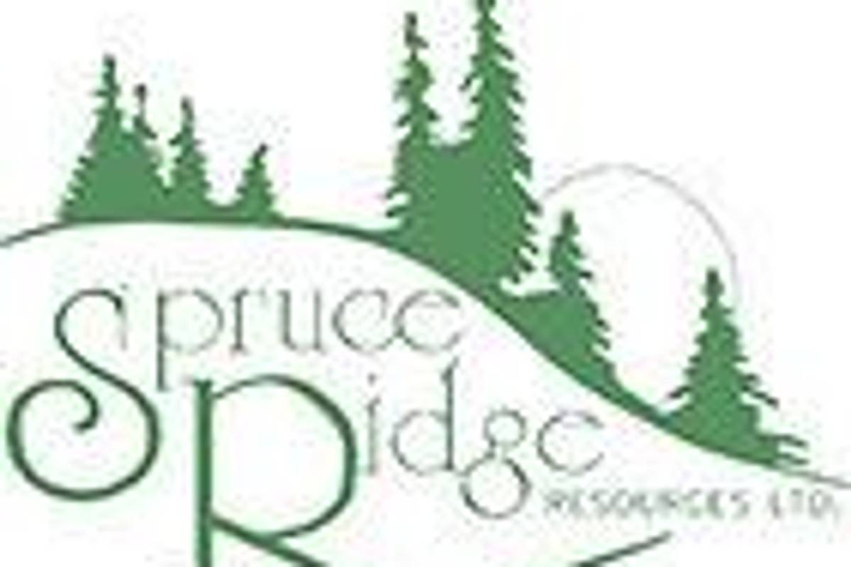 airborne geophysical surveys for geological mapping