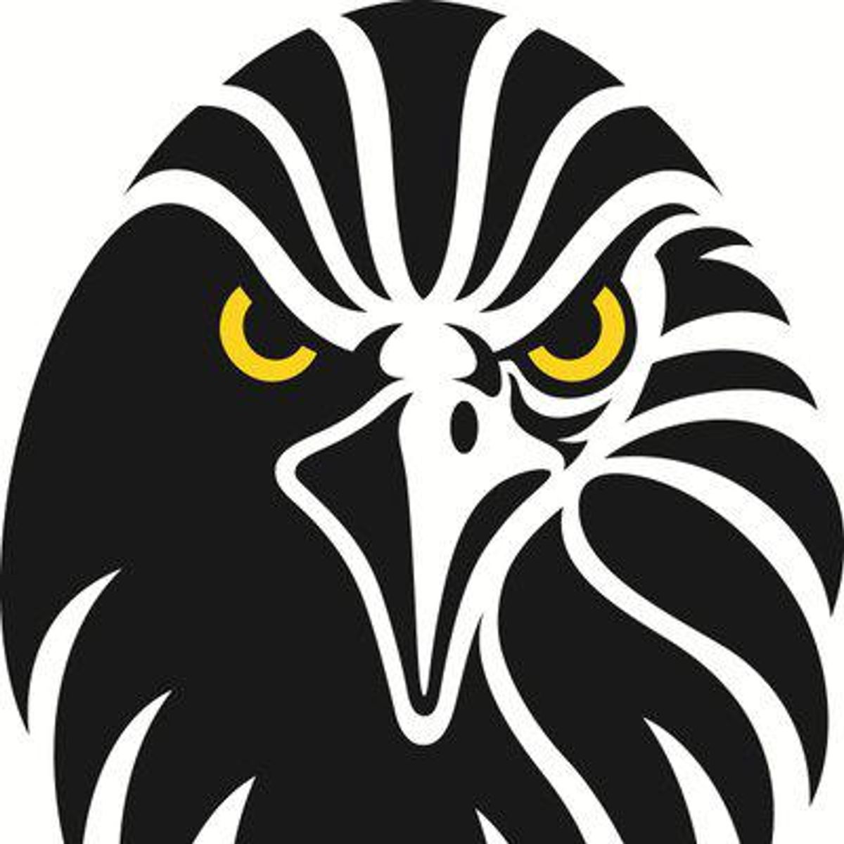 American Pacific Mining Corp