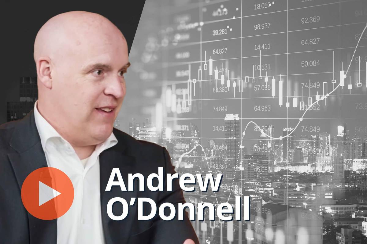andrew o'donnell, stock chart
