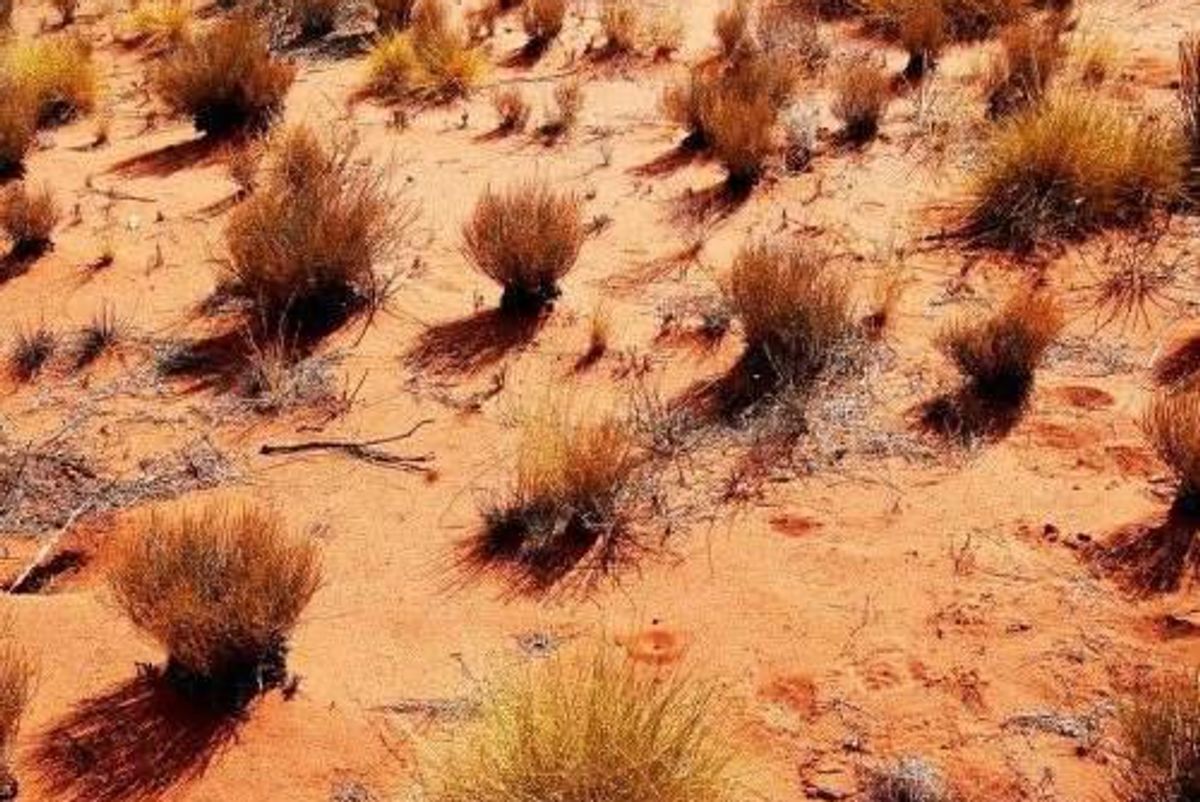 ASX:BHP