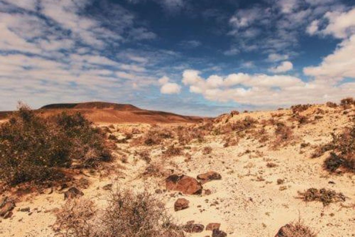 ASX:HMX