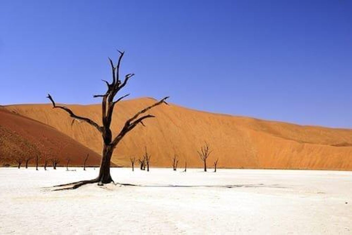 ASX:PDN