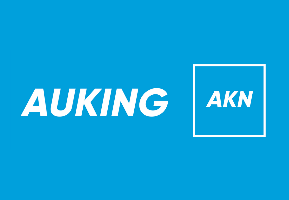 AuKing Mining (ASX:AKN)