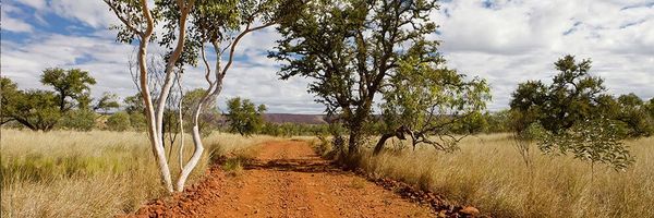 Image for AuKing Mining 