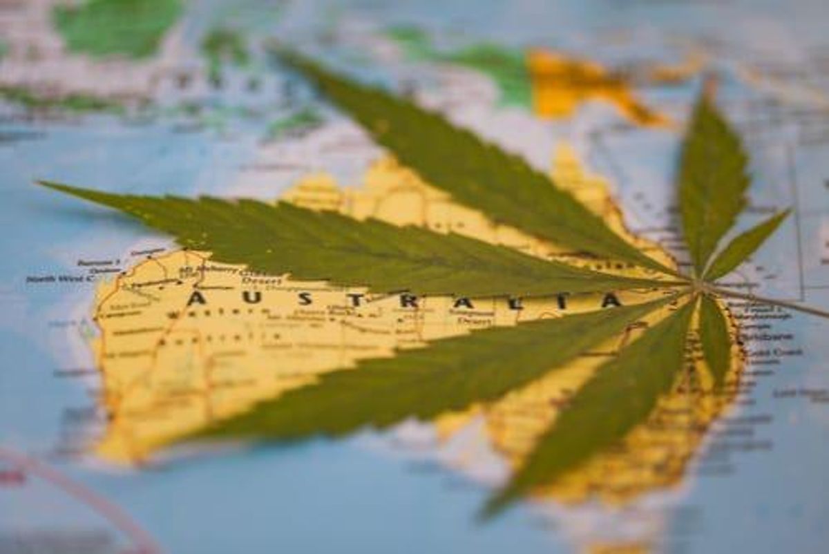 australia map with cannabis leaf