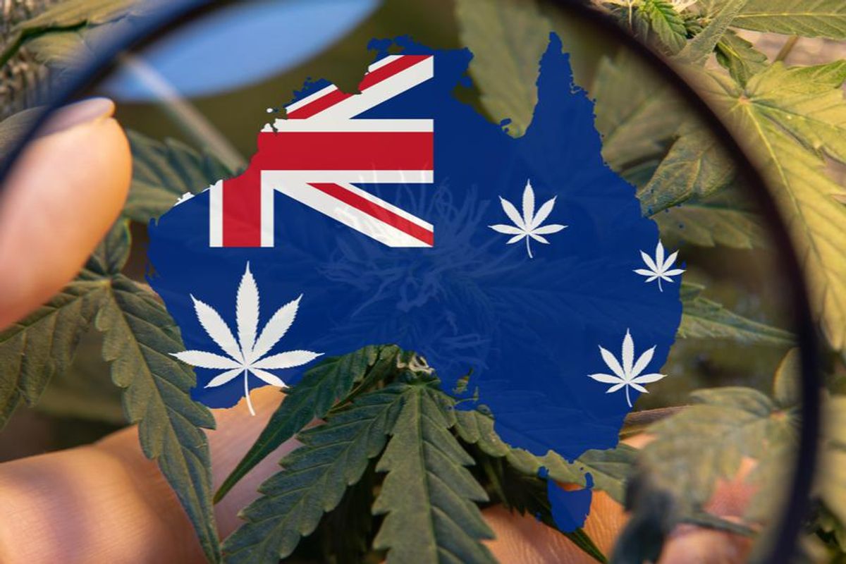 australian flag graphic in country map amid a cannabis plant