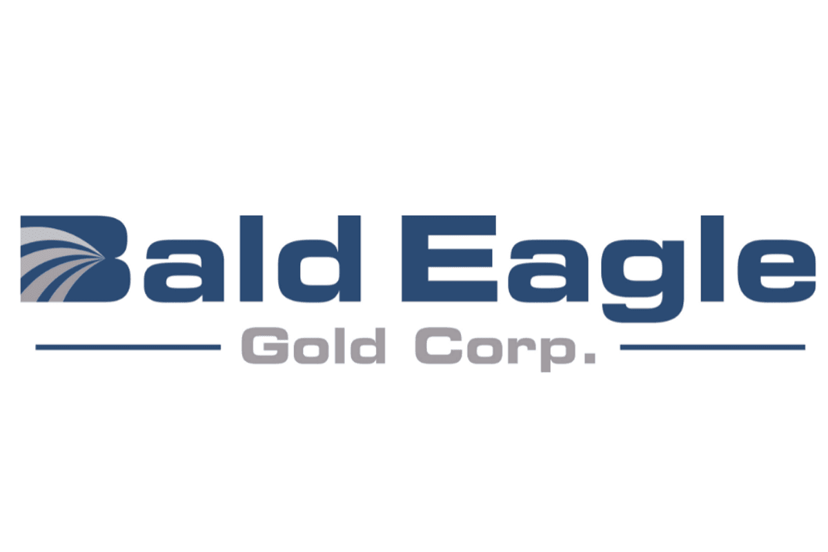 Bald Eagle new logo