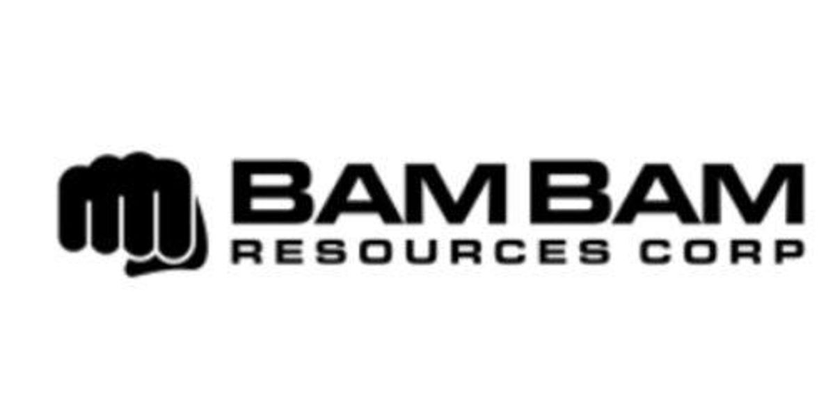 bam bam resources