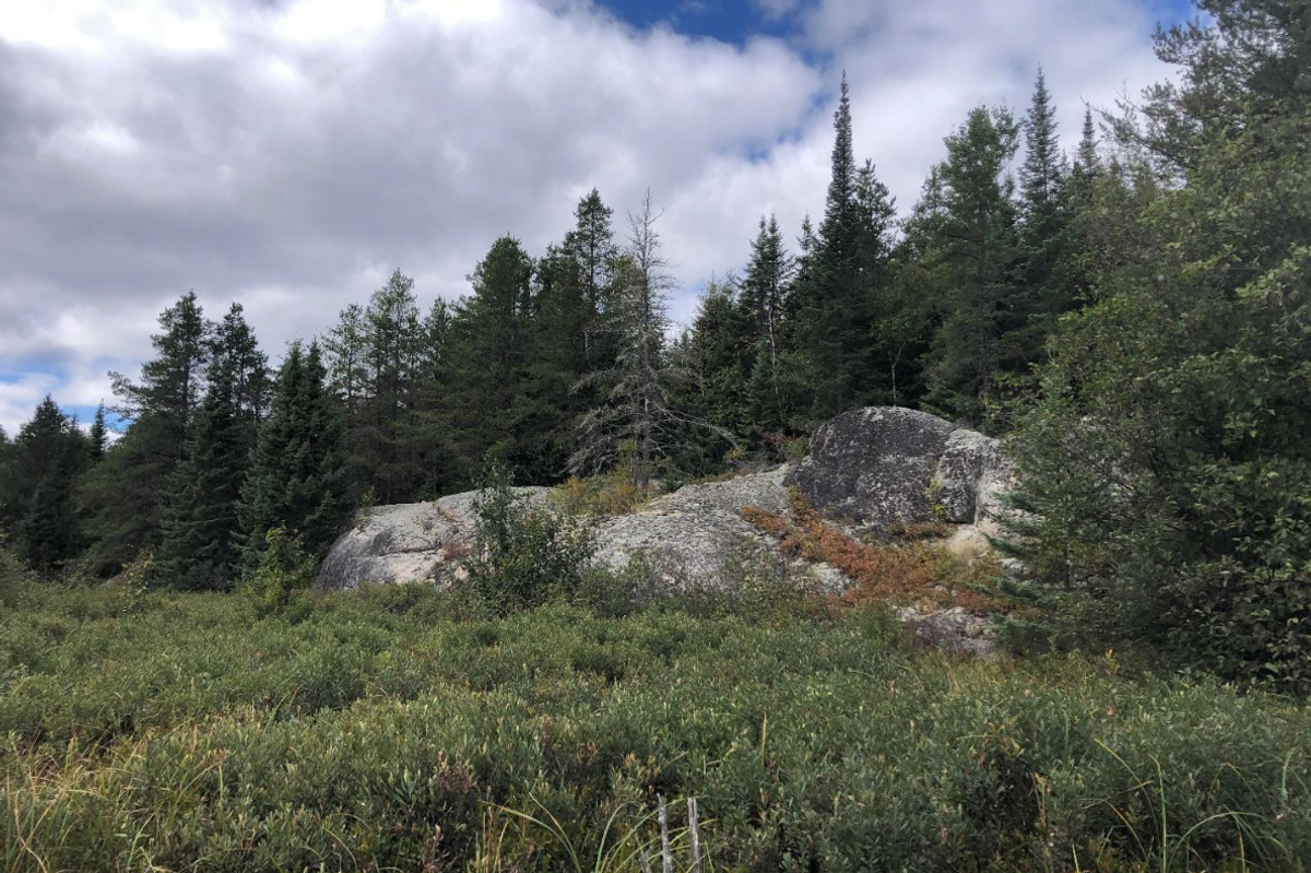 Beryl-bearing pegmatite discovered at Beyond Lithium’s Victory project