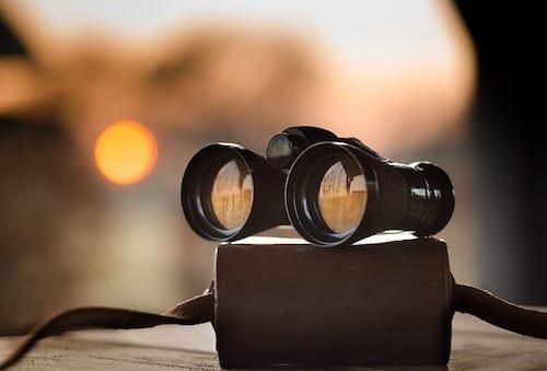 binoculars with case