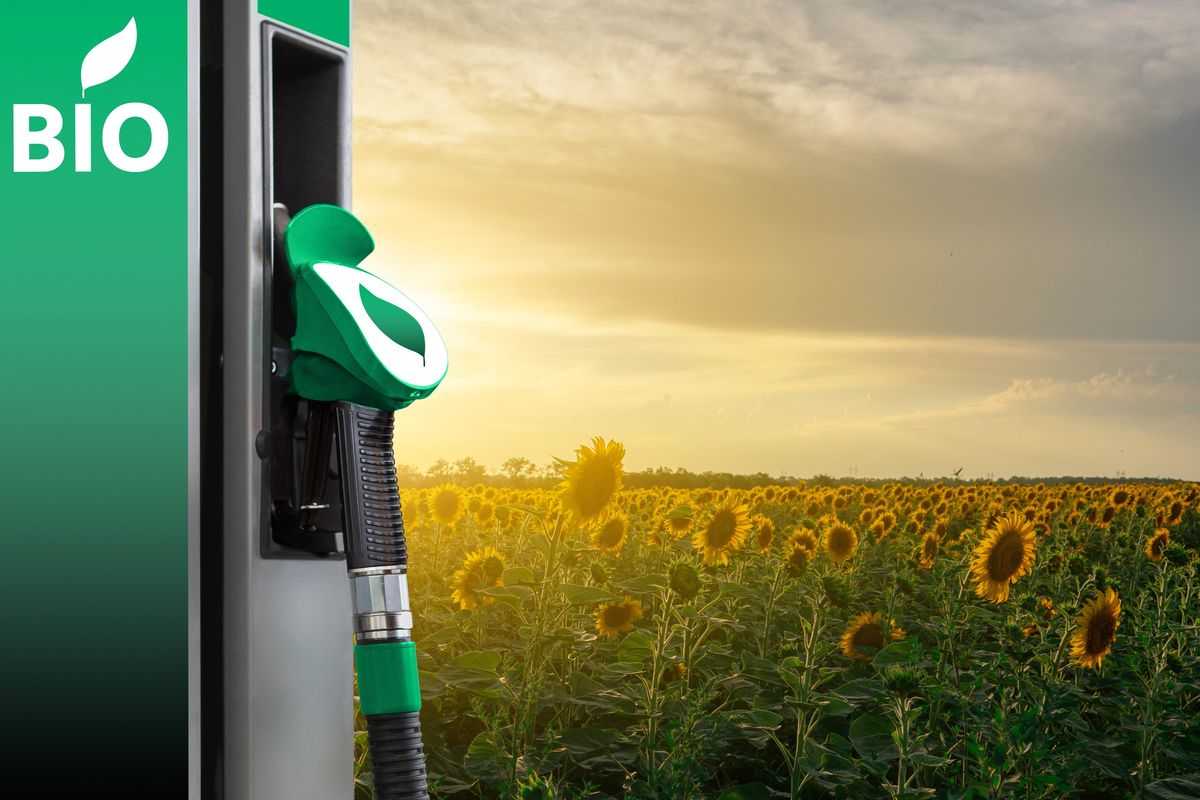 Biofuel pump in front of a sunflower field at sunset.