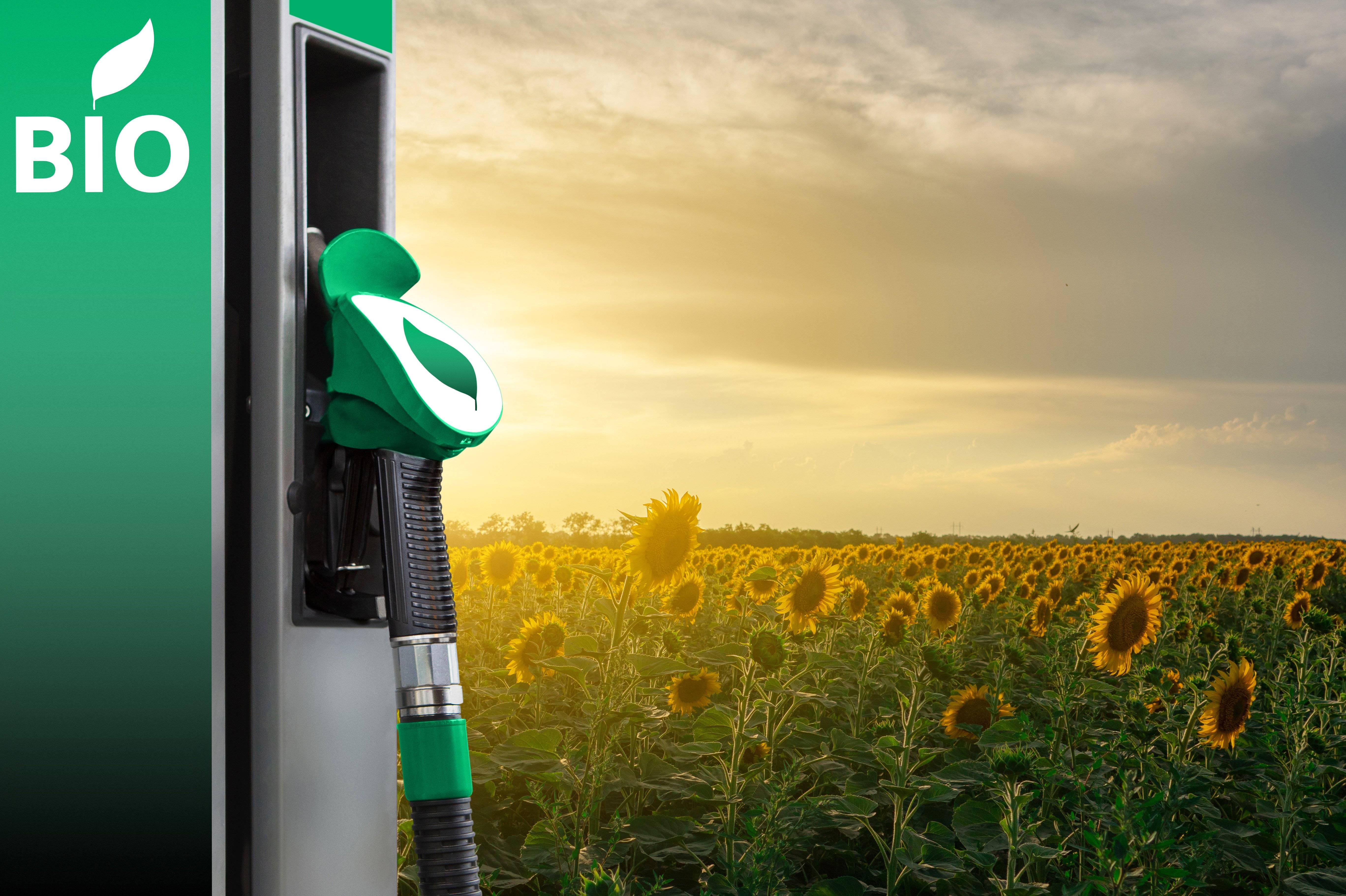 Biofuel pump in front of a sunflower field at sunset.