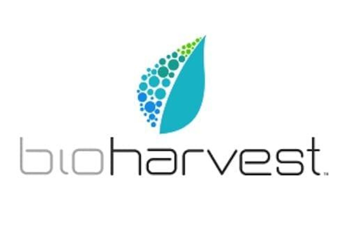 bioharvest sciences stock