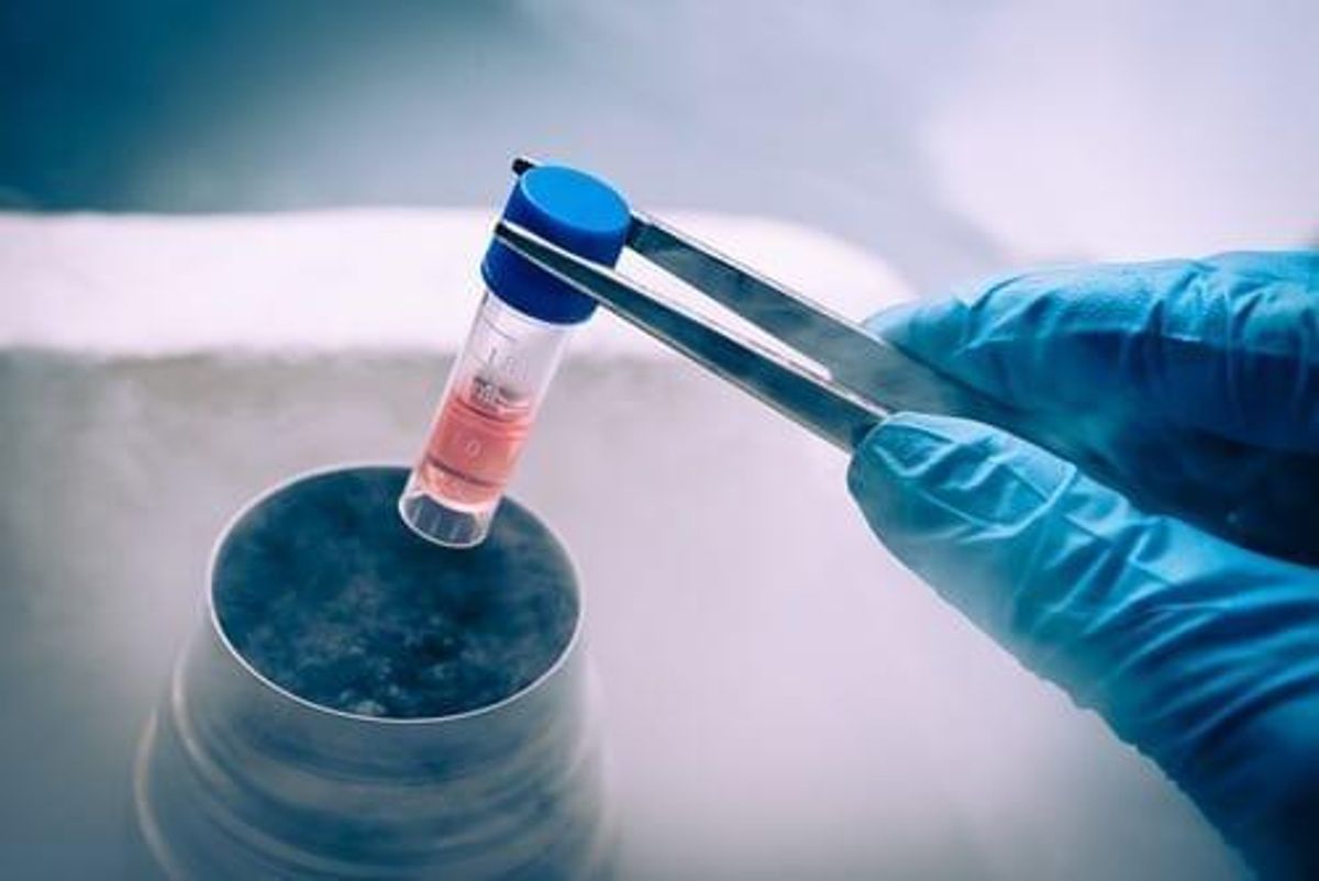 Biotech Investing