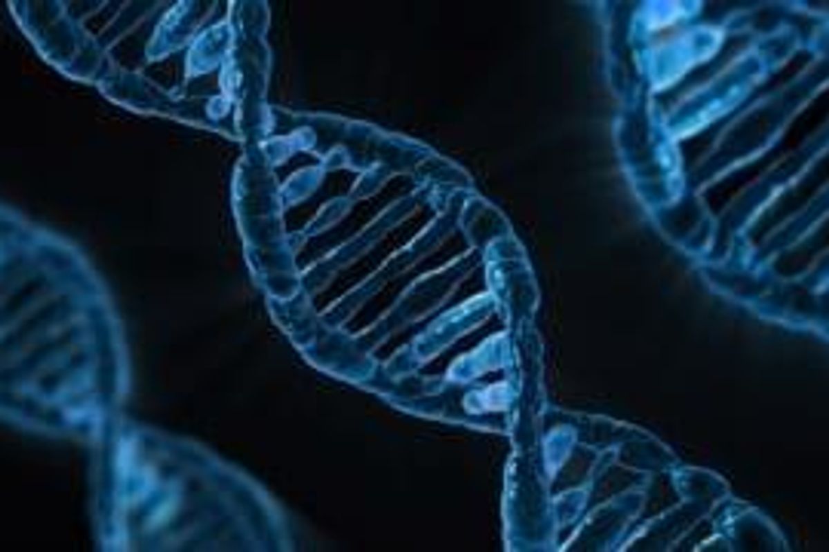 Biotech Investing