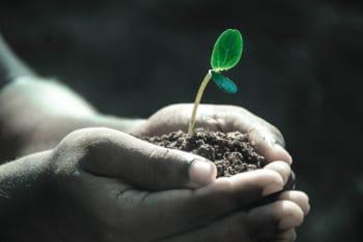 Biotech Investing