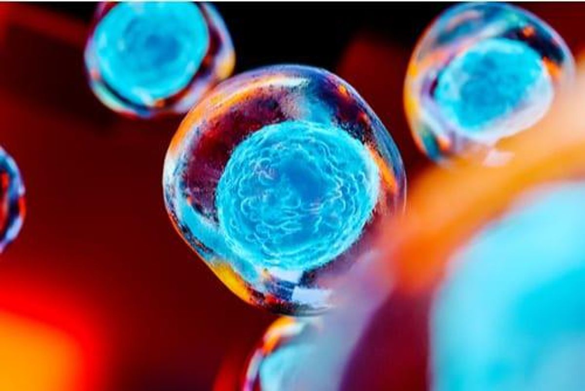 biotech ipos 2021