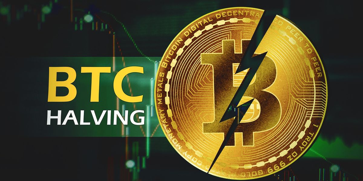 Bitcoin Halving: Expert Analysis and Price Predictions | INN