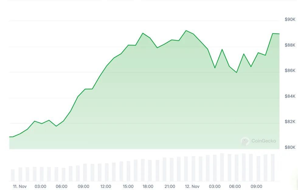 Bitcoin performance, November 11 to 12, 2024.