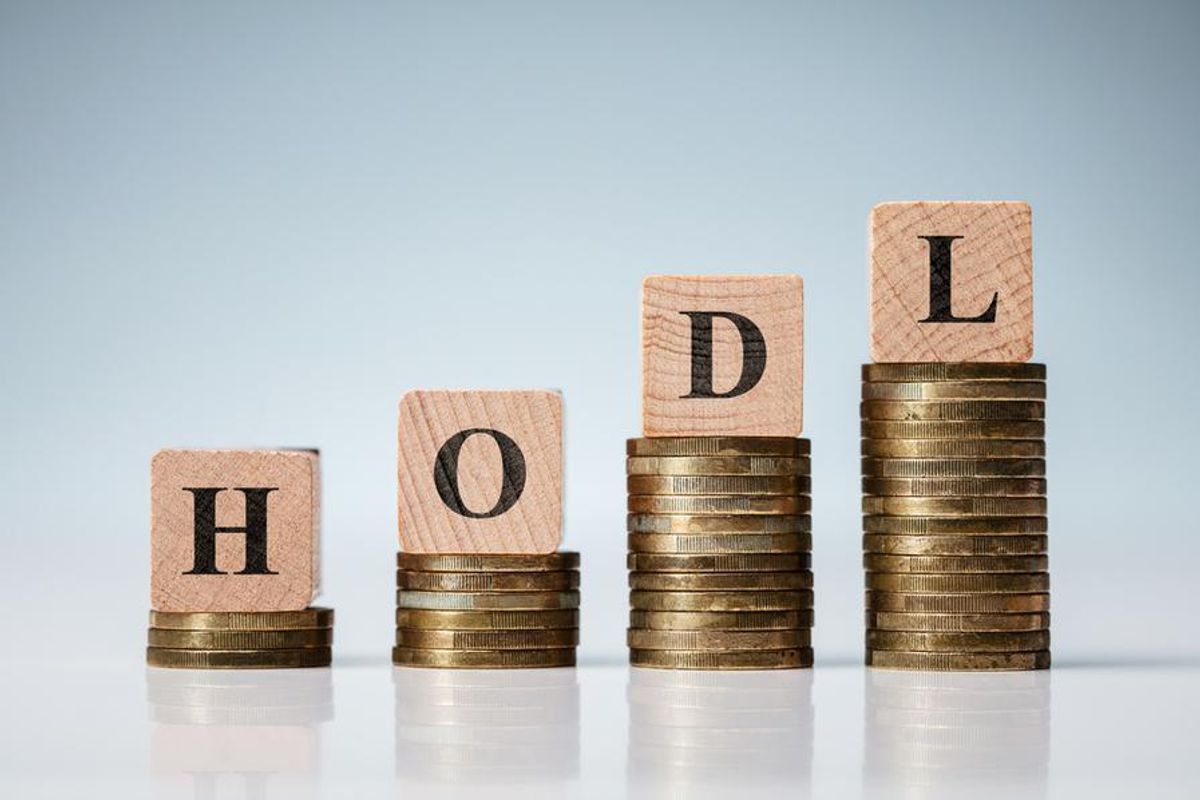 blocks saying "hodl" with coins