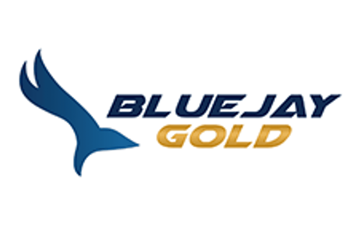 Blue Jay Gold (TSXV:JAY)
