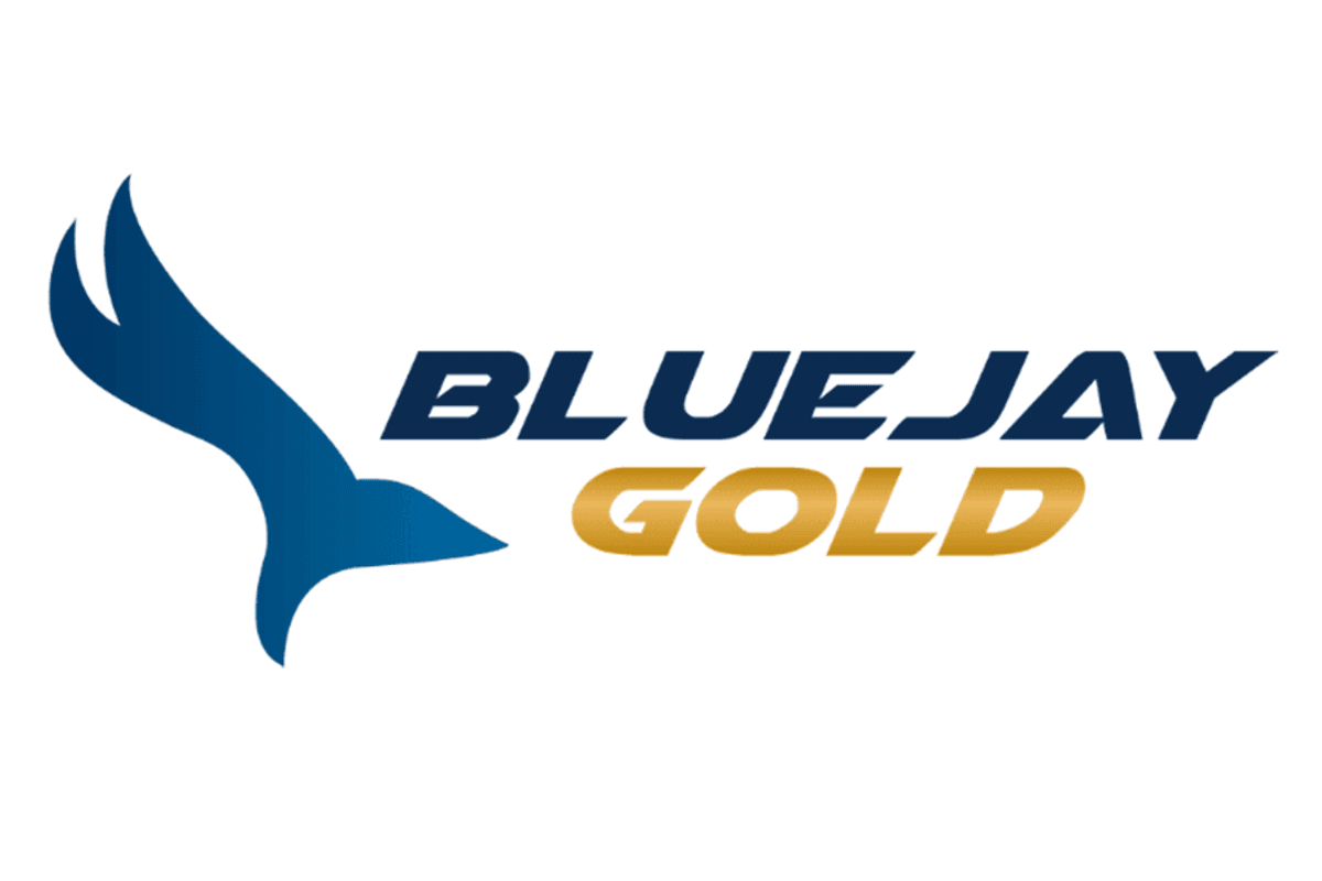Blue Jay Gold