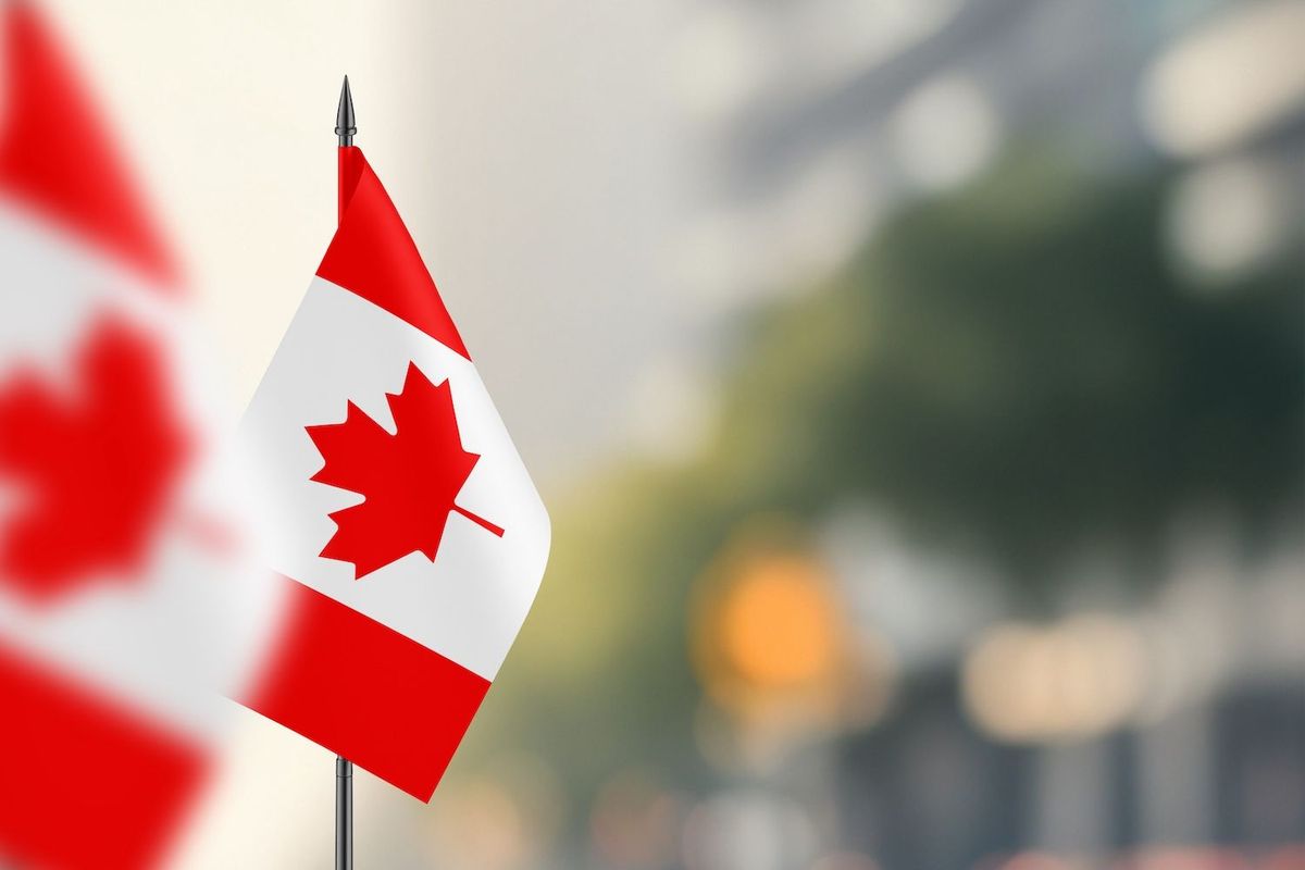 Canadian flags waving with a blurred city background.