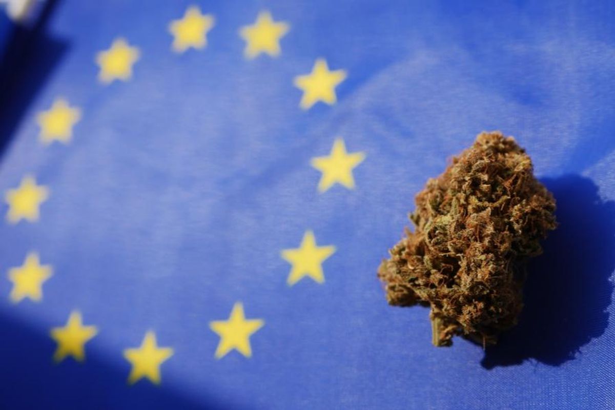 cannabis bud over european union flag