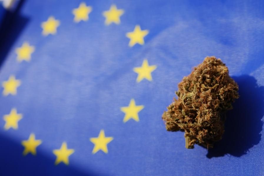 cannabis bud over european union flag