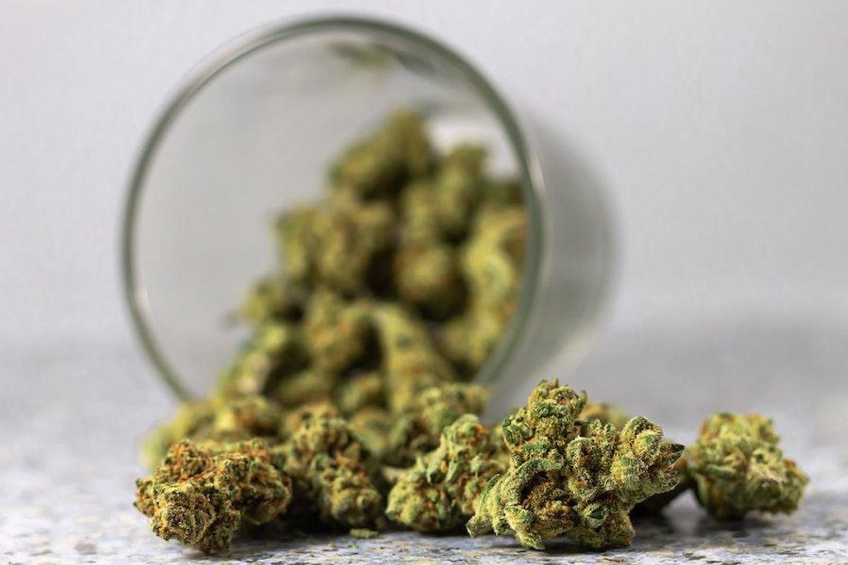 cannabis buds coming out of a jar