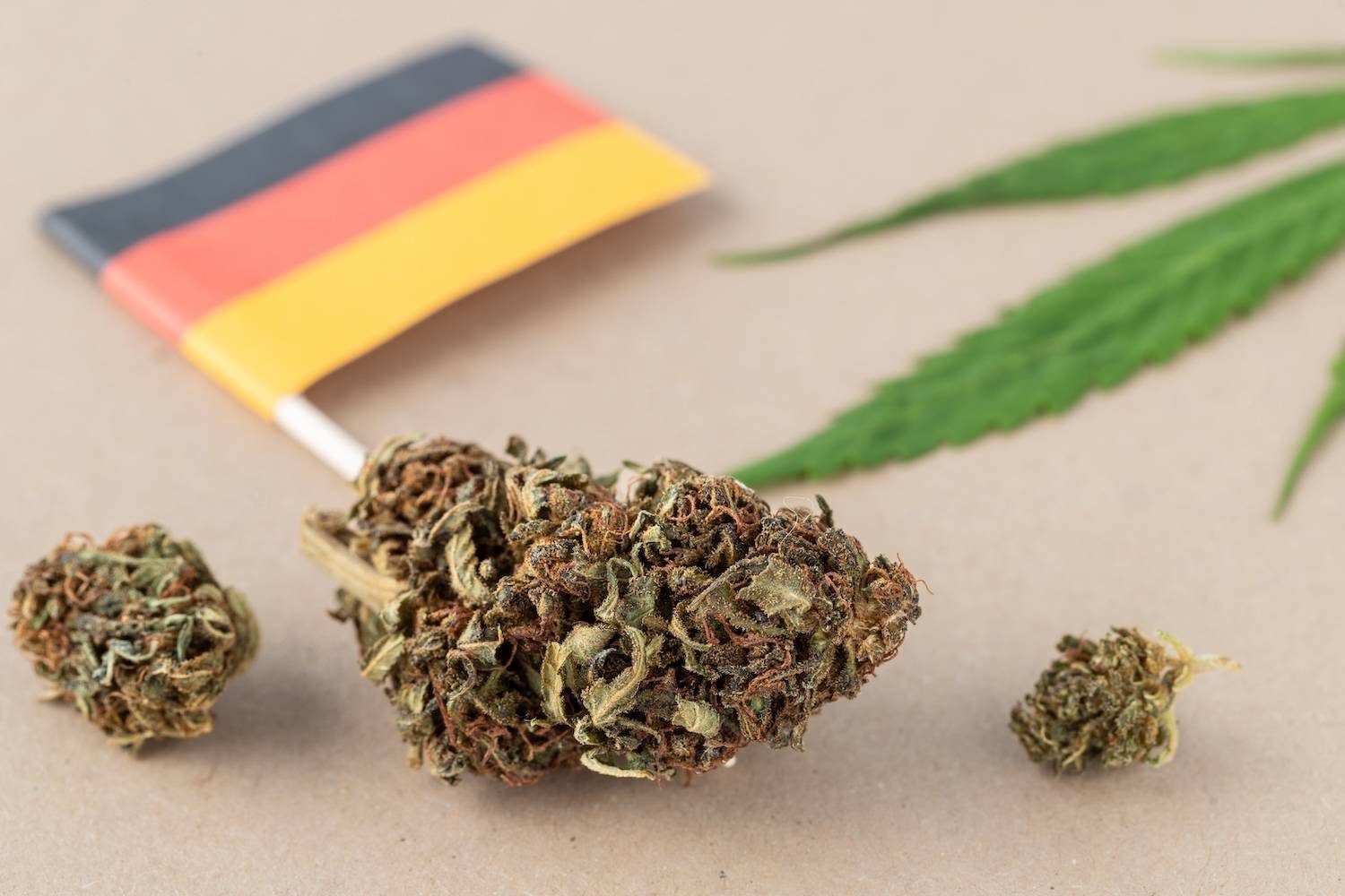 Cannabis buds with German flag and leaf in the background.
