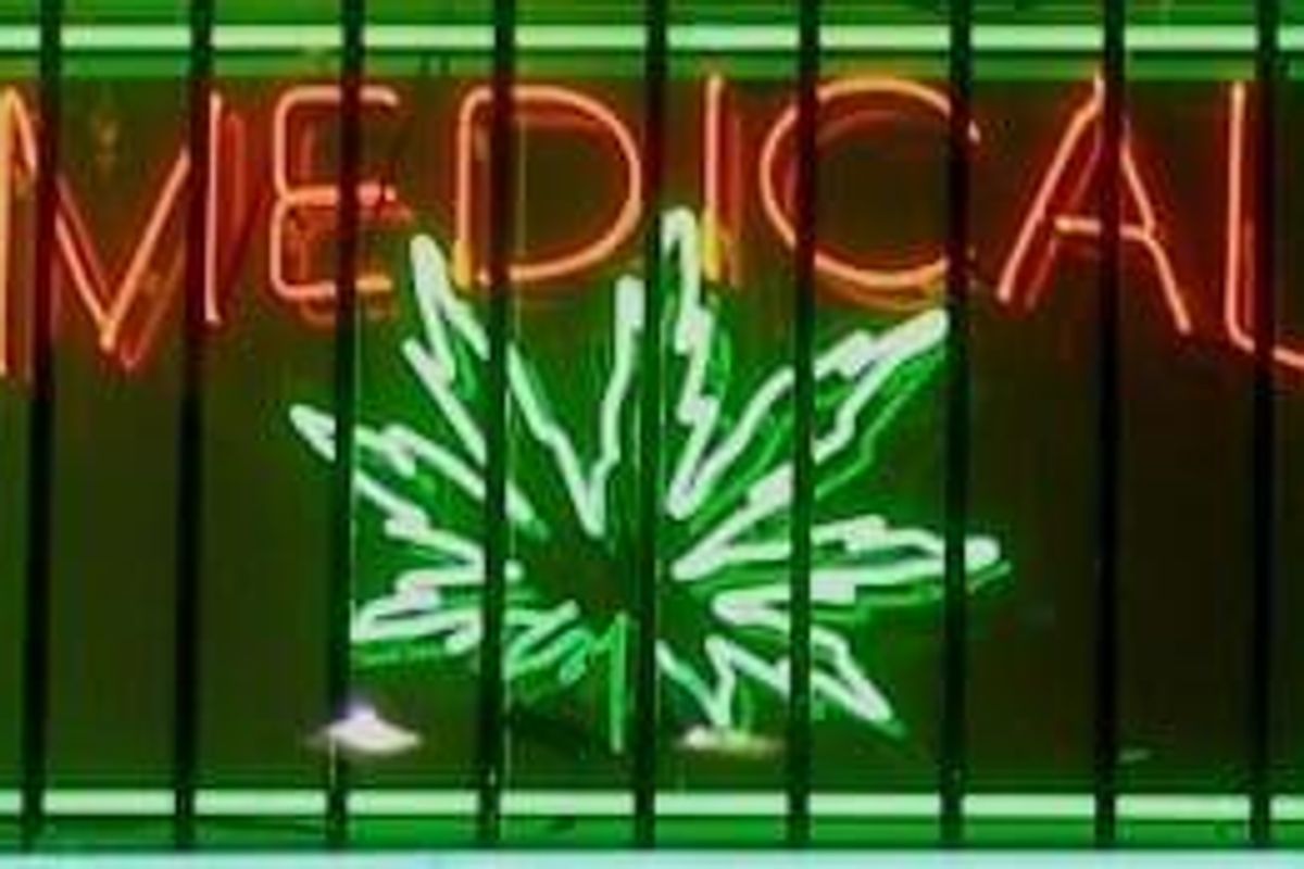 Cannabis Investing