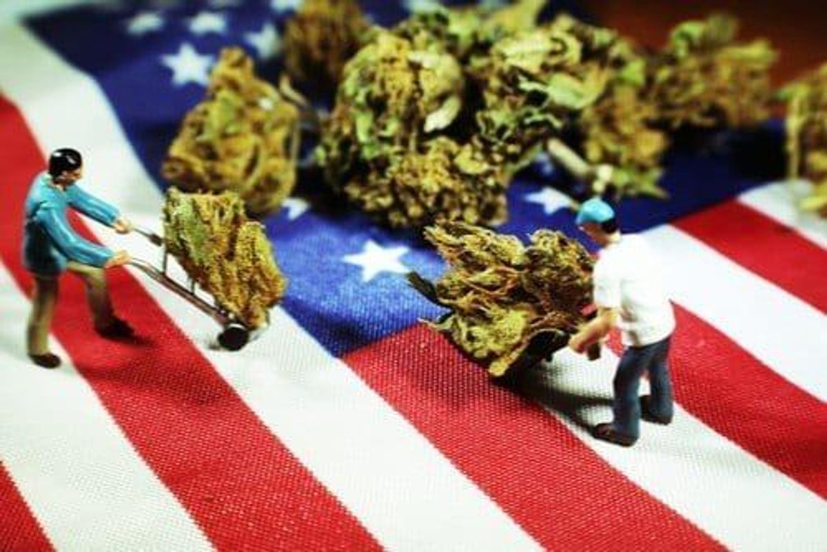 Cannabis Investing