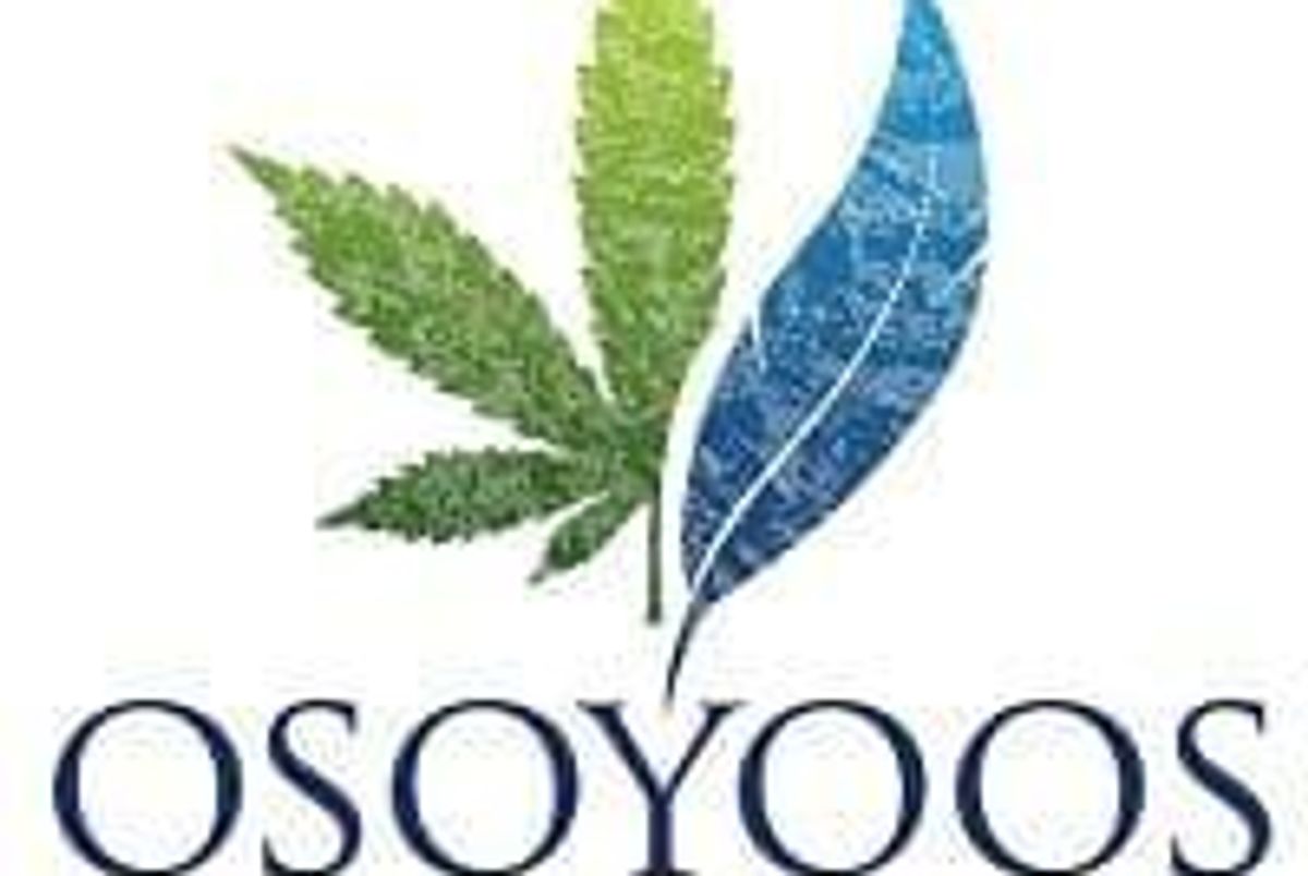 Cannabis Investing