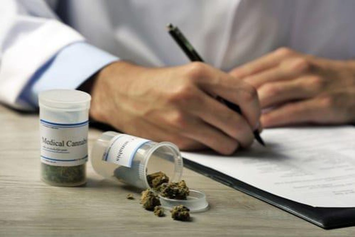 Cannabis Investing