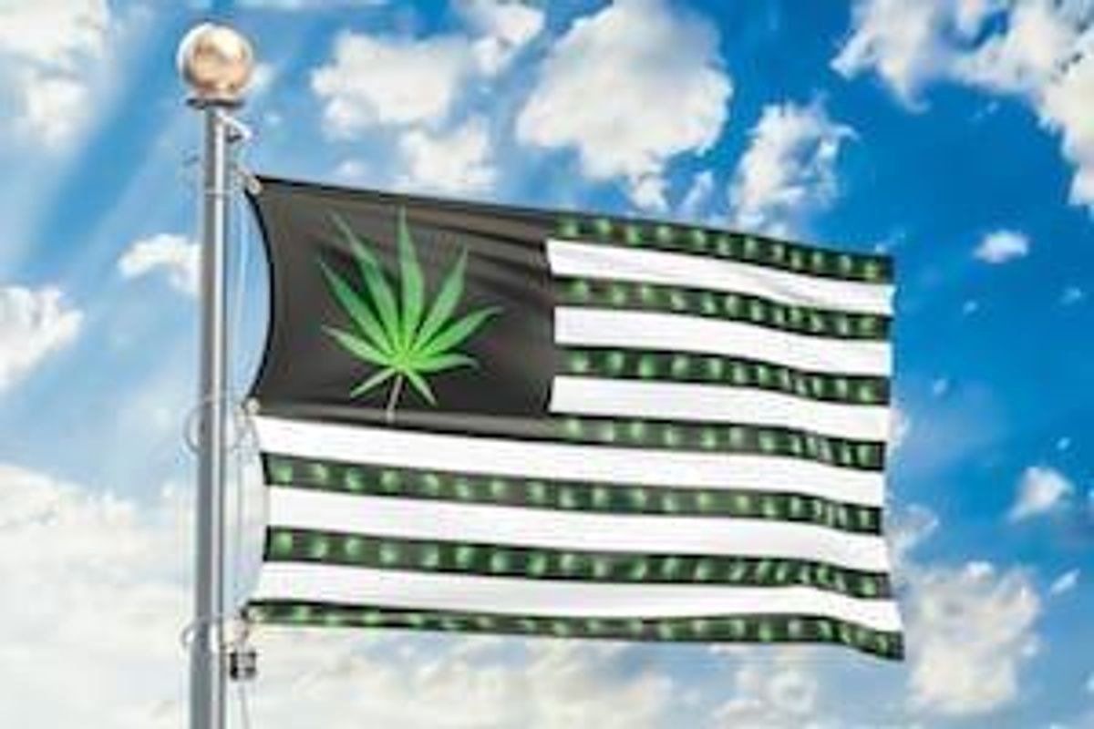 Cannabis Investing