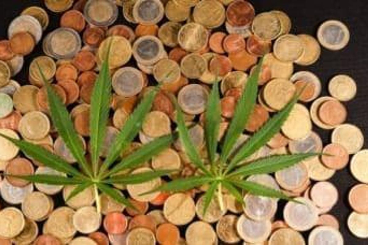 Cannabis Investing