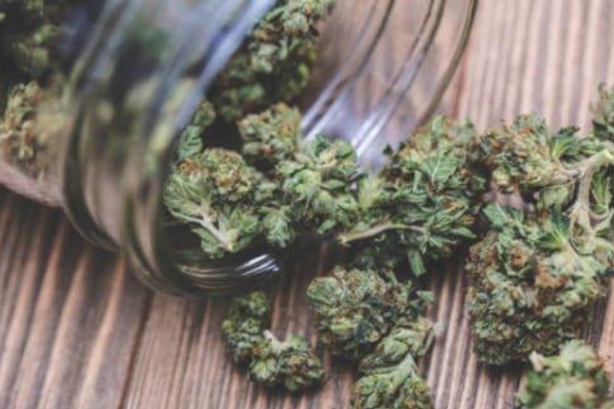 Cannabis Investing