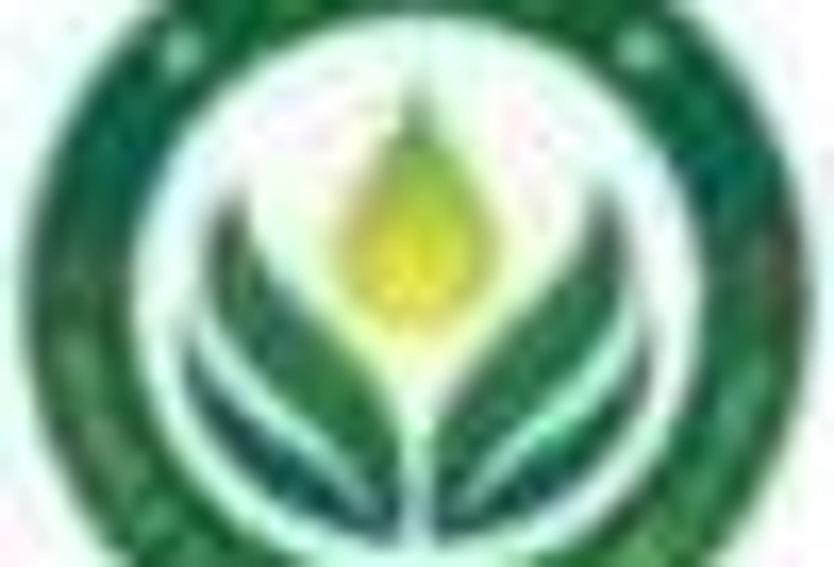 Cannabis Investing