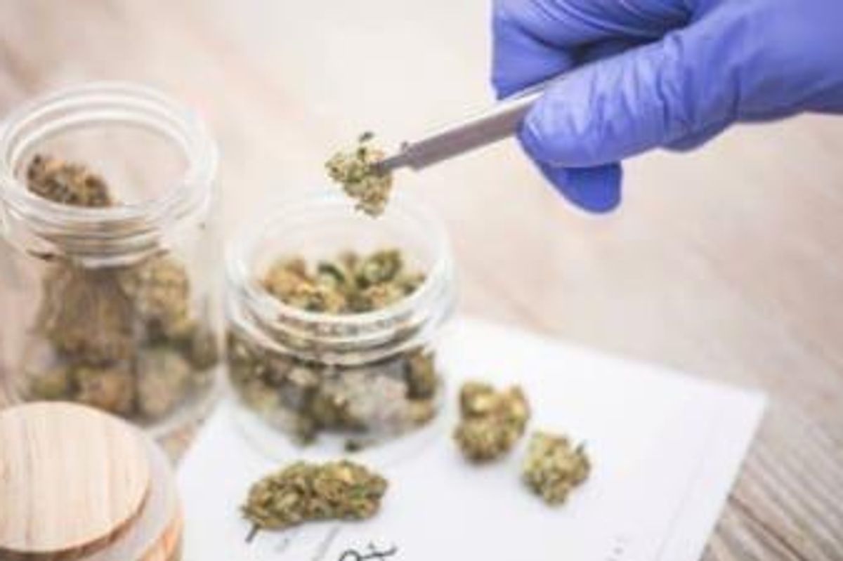 Cannabis Investing