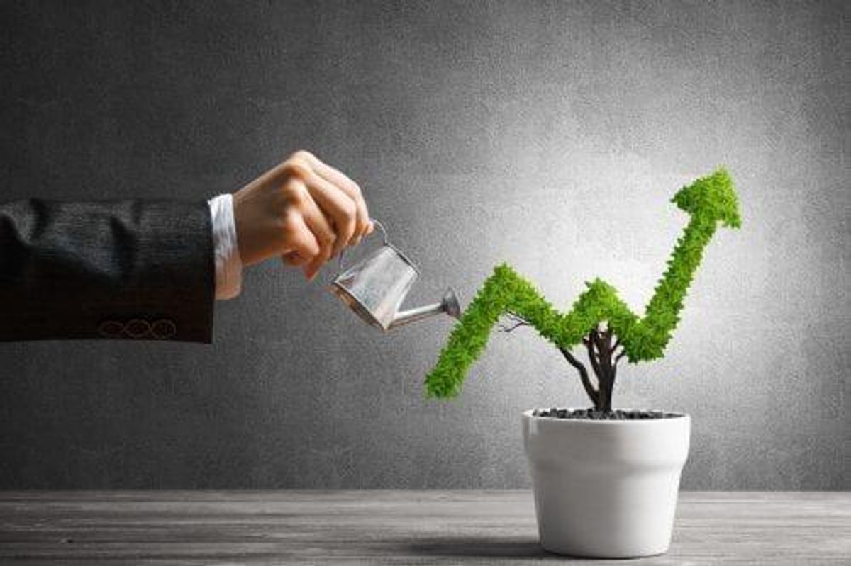 Cannabis Investing