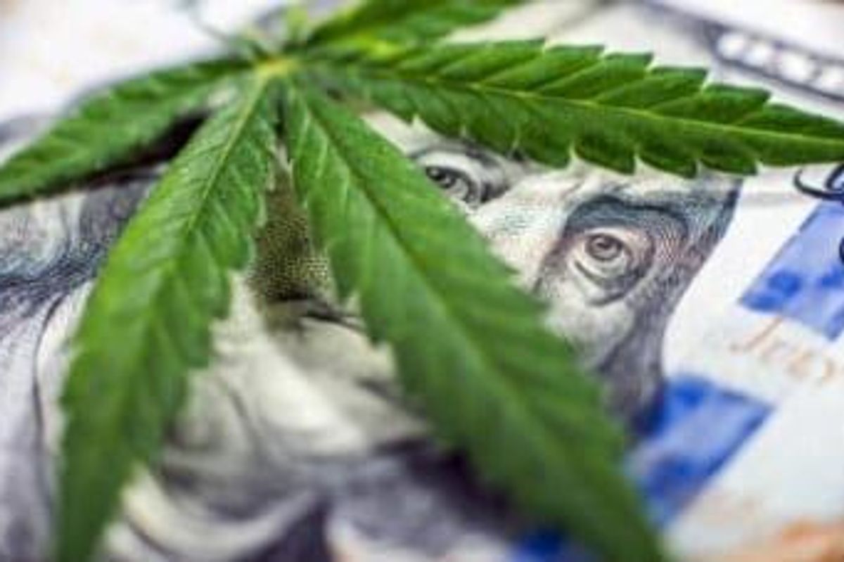 Cannabis Investing