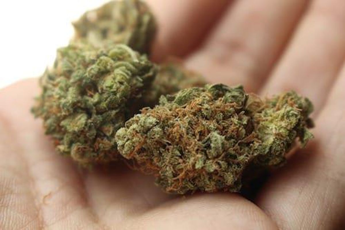 Cannabis Investing